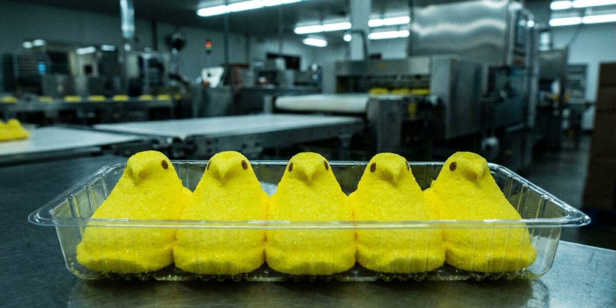 Image for: EXCLUSIVE: Inside The Cruel World Of Factory-Farmed Peeps, Where Chicks Are Crammed Five To A Tray With No Room To Develop Their Sugar Coating