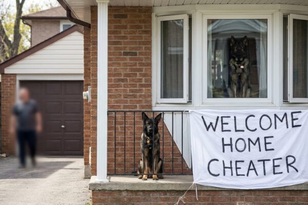 Image for: Local Dog Prepares Statement, Hangs Banner, Will Not Be Making Further Comments At This Time