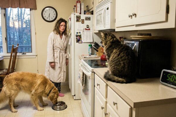Image for: Nation's Pets Issue Joint Statement Demanding To Know What Is Happening And Why Dinner Is Late