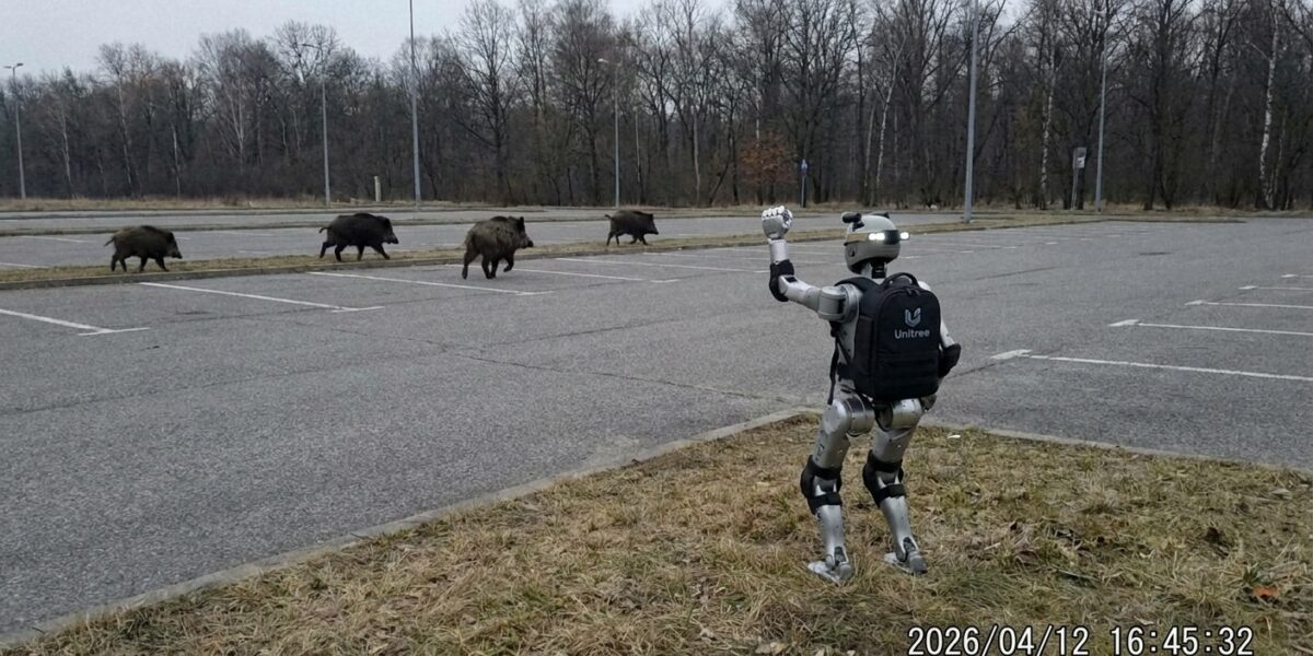 Image for: A 4-Foot-3 Robot Influencer Named Edward Warchocki Chased Wild Boars Through A Warsaw Parking Lot, Raised Its Fist When They Escaped, And The Boars Did Not Care; 3.8 Million People Watched; The Robot Has Also Visited Parliament