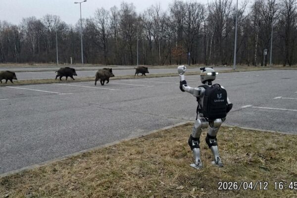 Image for: A 4-Foot-3 Robot Influencer Named Edward Warchocki Chased Wild Boars Through A Warsaw Parking Lot, Raised Its Fist When They Escaped, And The Boars Did Not Care; 3.8 Million People Watched; The Robot Has Also Visited Parliament