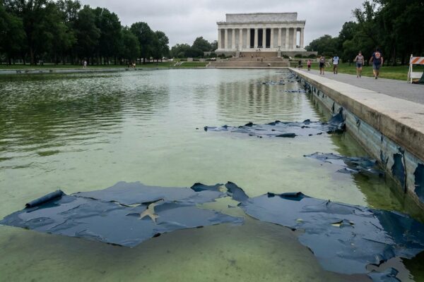 Image for: At The Great American State Fair Opening, The President Addressed The Lincoln Memorial Reflecting Pool — Which His Own Administration Spent Over Fourteen Million Dollars Renovating, Which Then Turned Bright Green With Algae, And Which Then Began Peeling Its New Blue Paint After His Own Administration Poured Hydrogen Peroxide Into It — By Stating That The Pool Had Been 'Gruesomely Vandalized By Thugs, Bad People'; There Is No Evidence Of Vandalism; There Is Extensive Documentation Of Hydrogen Peroxide; The President Also Said The Pool 'Looks Perfect Already'; Douglas Has Now Filed Three Pieces On This Pool; Douglas Did Not Expect The Third One To Involve Thugs
