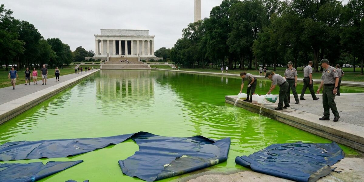 Image for: Douglas Filed The Original Reflecting Pool Algae Piece Six Days Ago And At That Time The Worst Thing Happening Was That There Was A Man Standing In The Pool With A Net Removing Algae; Now The Pool Is Bright Green, Workers Are Pouring Jugs Of Hydrogen Peroxide Into It, The Hydrogen Peroxide Has Failed To Kill The Algae But Has Successfully Lifted Three-By-Three-Foot Chunks Of American Flag Blue Paint Off The Bottom, A Swimming-Pool Supply Store Helped CNN Confirm The Phosphate Levels Are Wrong, The Contract Went To A Company With No Federal Experience Without A Bidding Process, And A Viral Tweet Has Diagnosed The President As Unable To Win A War Against Algae; Douglas Is Going To Update The File