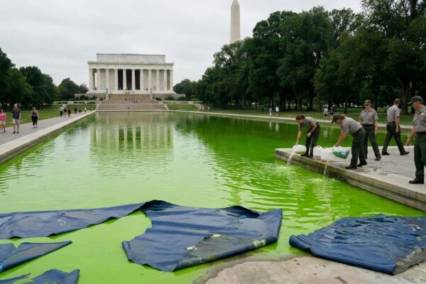 Image for: Douglas Filed The Original Reflecting Pool Algae Piece Six Days Ago And At That Time The Worst Thing Happening Was That There Was A Man Standing In The Pool With A Net Removing Algae; Now The Pool Is Bright Green, Workers Are Pouring Jugs Of Hydrogen Peroxide Into It, The Hydrogen Peroxide Has Failed To Kill The Algae But Has Successfully Lifted Three-By-Three-Foot Chunks Of American Flag Blue Paint Off The Bottom, A Swimming-Pool Supply Store Helped CNN Confirm The Phosphate Levels Are Wrong, The Contract Went To A Company With No Federal Experience Without A Bidding Process, And A Viral Tweet Has Diagnosed The President As Unable To Win A War Against Algae; Douglas Is Going To Update The File
